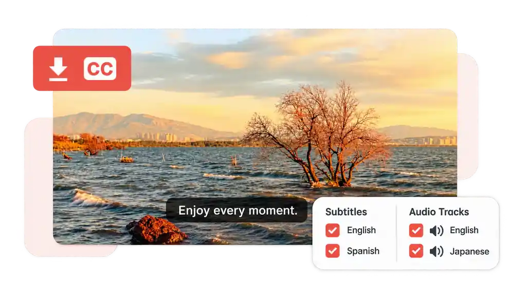 download youtube subtitles and audio language