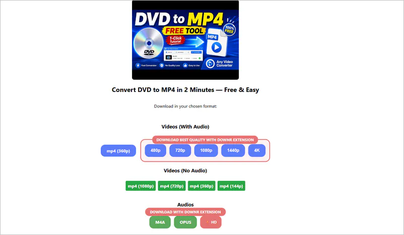downr tutorial