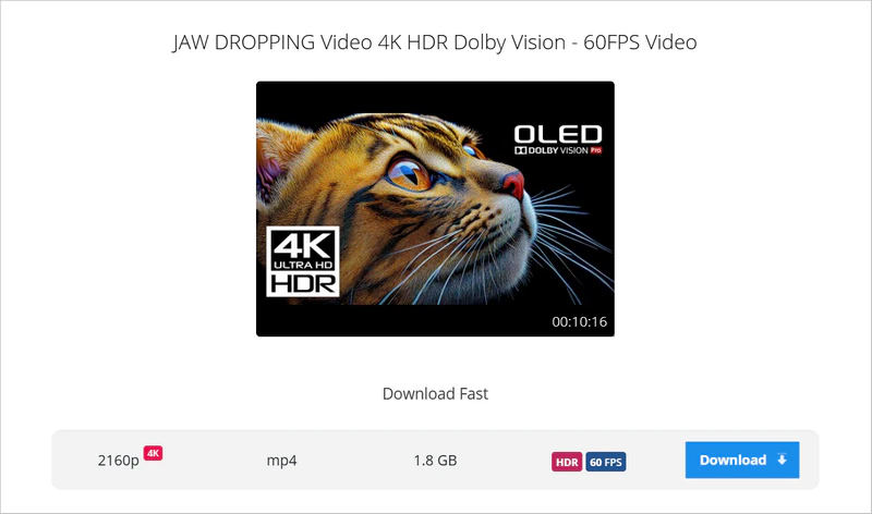 free download 4k videos with savetube