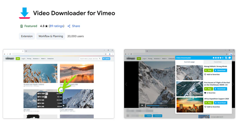 video downloader for vimeo