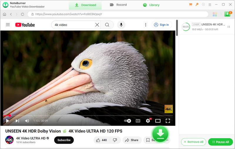 free download 4k video from youtube for free