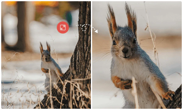 resize videos to 400%